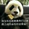 鸭汤王子