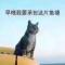 夏虫不言冰