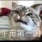留不住就丢了