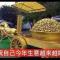 日进斗金夜进万银