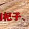 龍鼠祥芸