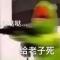 年少轻狂就一回你说我能