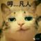 吴家三少