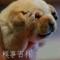 简单快乐