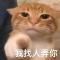 夺泥霹雳面