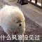你的男友迷路了
