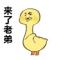 來了老弟