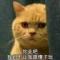 猫头