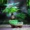 张超献蚝海鲜烧烤江湖菜馆