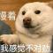 我命油我不油天