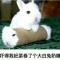 阿仁