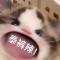 嘟嘟噜