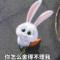 蓝姐姐
