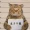 中单亚索