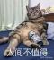 神室狂龙10000