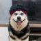 ᴸᵘᵏᶜʰᵃʳᵈ