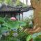 孙sun