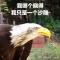 无言沙雕
