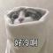 团团圆圆呀