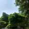 徒步旅行者47269865