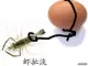 唯我独赞mo