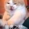 蹲街買回憶