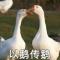 吴名之辈