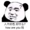 暴走的绵羊