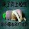 活在当下