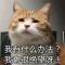 种葡萄的狐狸