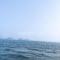 陳先生