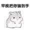 金色闪光s