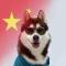 啊啊猪