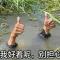 我不说