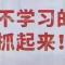 欢乐马