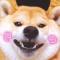 ℡  秋  天  的  冬  瓜  ღ
