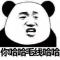 大西洋的干姜