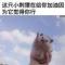 值得。