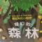 梦幻森林