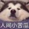 对方正在输入