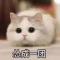 小胖妞