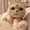 SweetieW
