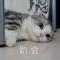 宋海瑞