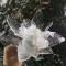 风华雪月人世间
