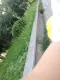 订货专供08