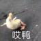 送你狗带