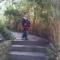 Xsh