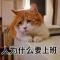唐强