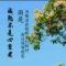 紫气东来