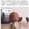 恋家的女娃